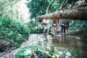 BIB: 
                            <button type="button" onclick="openModal(25446904)" class="btn btn-primary btn-sm float-right btn-popup" data-toggle="modal" data-target=".modal-high-quality">
                        <i class="fas fa-shopping-cart"></i> Add to Cart
                    </button>
                                            <button type="button" onclick="isThisMe(25446904, true)" class="btn btn-success btn-sm float-right btn-popup btn-isme hidden" data-toggle="tooltip" data-placement="bottom" title="นี่คือรูปของคุณใช่ไหม คลิกที่นี่เพื่อเอาเข้าอัลบั้ม">
                        <i class="fas fa-plus"></i> Add to album
                    </button>
                    <button type="button" onclick="isThisMe(25446904, false)" class="btn btn-warning btn-sm float-right btn-popup btn-isnotme hidden">
                        <i class="fas fa-ban"></i> Remove from album
                    </button>